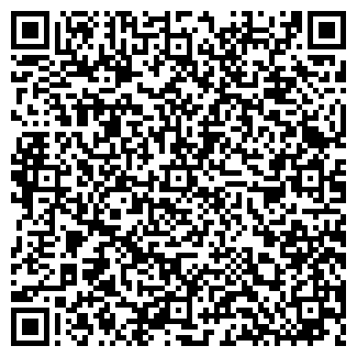 QR-код с контактной информацией организации ИП Игронафтик