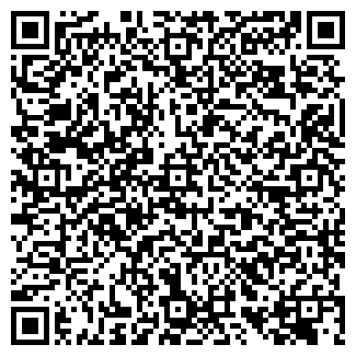 QR-код с контактной информацией организации VIP AVIA