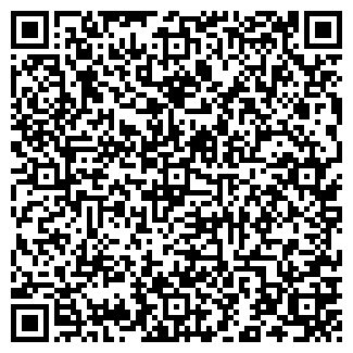 QR-код с контактной информацией организации Сити Гео