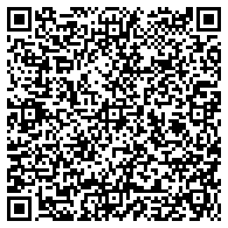 QR-код с контактной информацией организации ООО Мастерская "ЧиП"