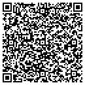 QR-код с контактной информацией организации ООО Вайз Инжиниринг