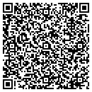 QR-код с контактной информацией организации ИП Визитка