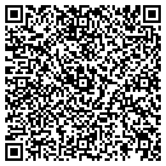 QR-код с контактной информацией организации ООО Balagan Vape