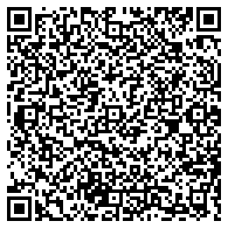 QR-код с контактной информацией организации ИП Element98