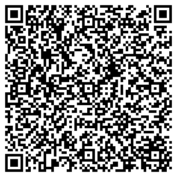 QR-код с контактной информацией организации ИП Илья Ворлост