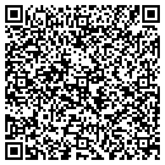 QR-код с контактной информацией организации ООО МИР