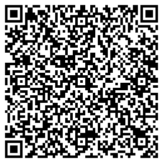 QR-код с контактной информацией организации Pavel & Co