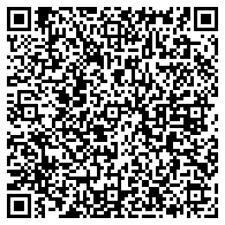 QR-код с контактной информацией организации ИП Шеметова Е.В.