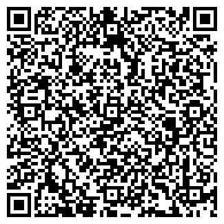 QR-код с контактной информацией организации Лемус