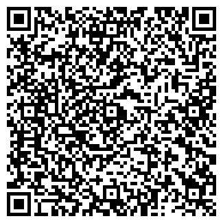 QR-код с контактной информацией организации Вилла Фламинго