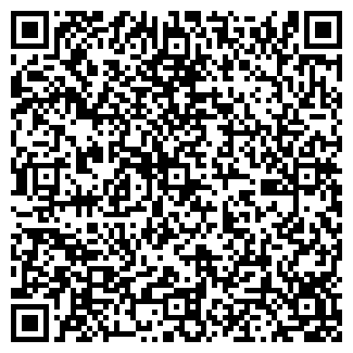 QR-код с контактной информацией организации ООО Galeoncar