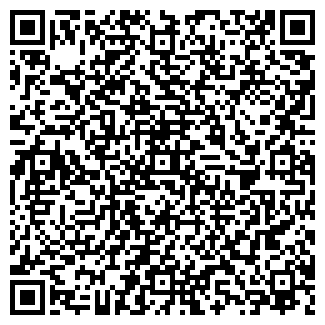 QR-код с контактной информацией организации ООО Шинный дом