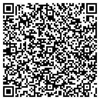 QR-код с контактной информацией организации ООО Автосервис Вилгуд на Беломорской