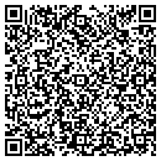 QR-код с контактной информацией организации ИП Vdome pro