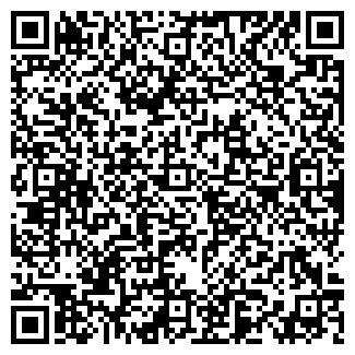 QR-код с контактной информацией организации ООО SILS Group 