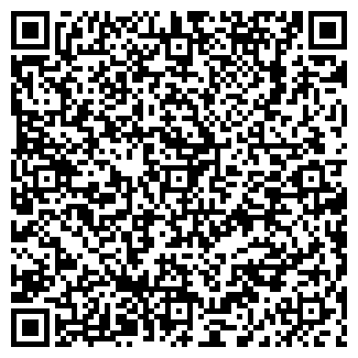 QR-код с контактной информацией организации ИП WEB Решение