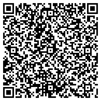 QR-код с контактной информацией организации ООО Alekzo