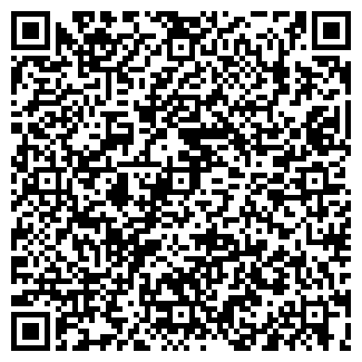 QR-код с контактной информацией организации Сайт в ТОПе