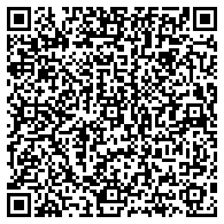 QR-код с контактной информацией организации Шины Диски Сервис