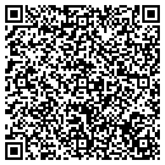 QR-код с контактной информацией организации Светлана