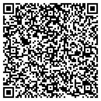 QR-код с контактной информацией организации Персона