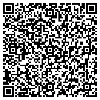 QR-код с контактной информацией организации Стрелка