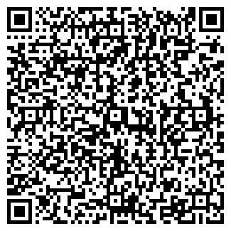 QR-код с контактной информацией организации ип Ammisushi