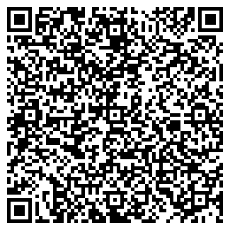 QR-код с контактной информацией организации Elsen