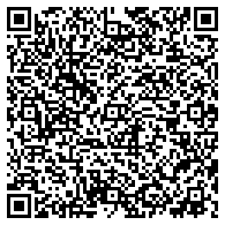 QR-код с контактной информацией организации Ип Childhoody