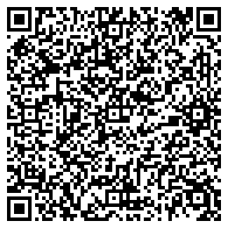 QR-код с контактной информацией организации ИП Wifimaster