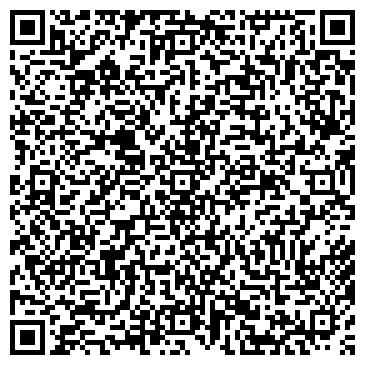 QR-код с контактной информацией организации ИП E-n-cars