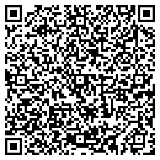QR-код с контактной информацией организации ИП Wifimaster