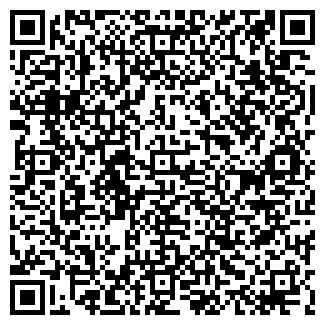 QR-код с контактной информацией организации ООО Blausee