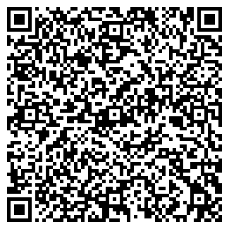 QR-код с контактной информацией организации Amadeo