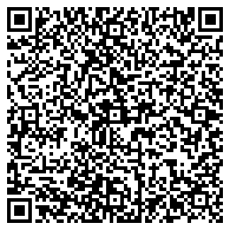 QR-код с контактной информацией организации ИП electrik78