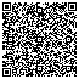 QR-код с контактной информацией организации lisco