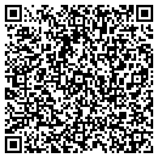 QR-код с контактной информацией организации «Ромашково»