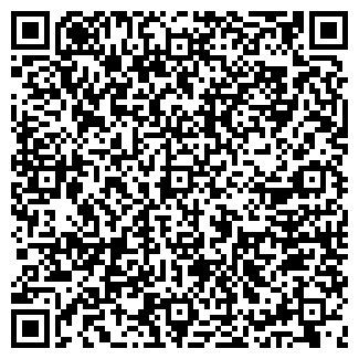 QR-код с контактной информацией организации ООО Домстайл