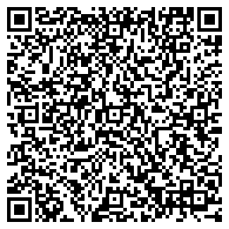 QR-код с контактной информацией организации ООО Лемон карс