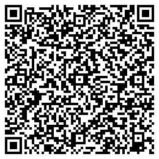 QR-код с контактной информацией организации ООО ЯнкиМоторс