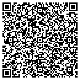 QR-код с контактной информацией организации ИП Nino Kids