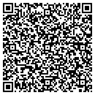 QR-код с контактной информацией организации ООО Chicago pizza