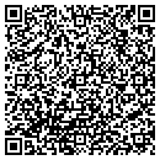 QR-код с контактной информацией организации ИП Анастасия