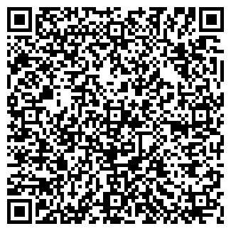 QR-код с контактной информацией организации ИП Кинетик