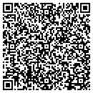 QR-код с контактной информацией организации ИП Фламинго