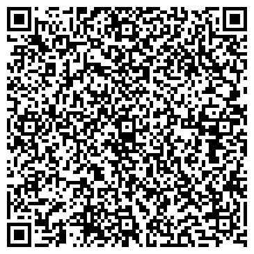 QR-код с контактной информацией организации Systemice