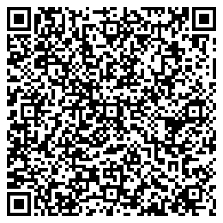 QR-код с контактной информацией организации ЛИК РИА