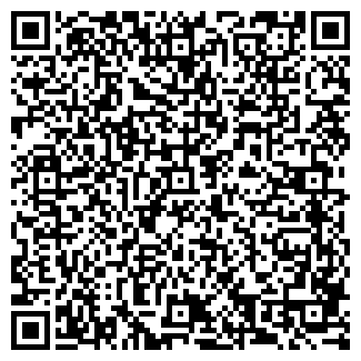 QR-код с контактной информацией организации ПАО Мастерская