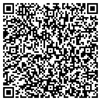 QR-код с контактной информацией организации ООО Туры России