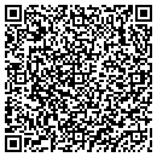 QR-код с контактной информацией организации Alfi collar